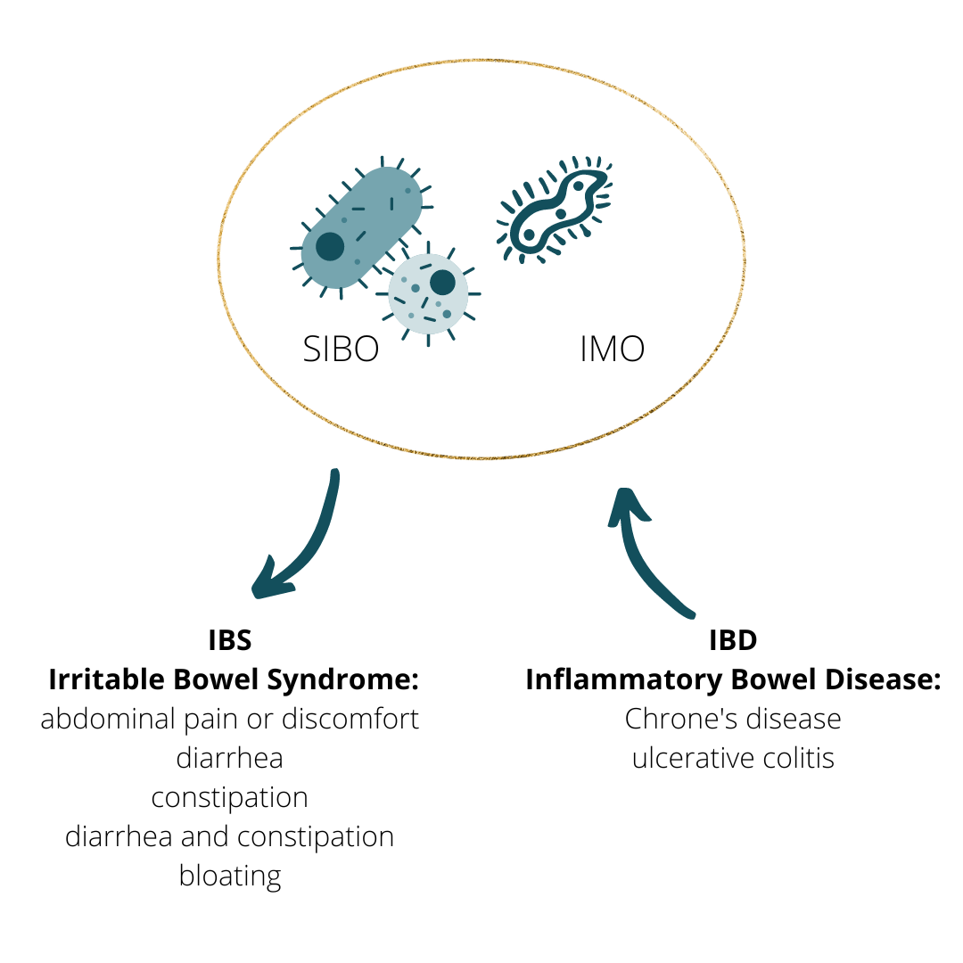 SIBO IBS IBD overlap