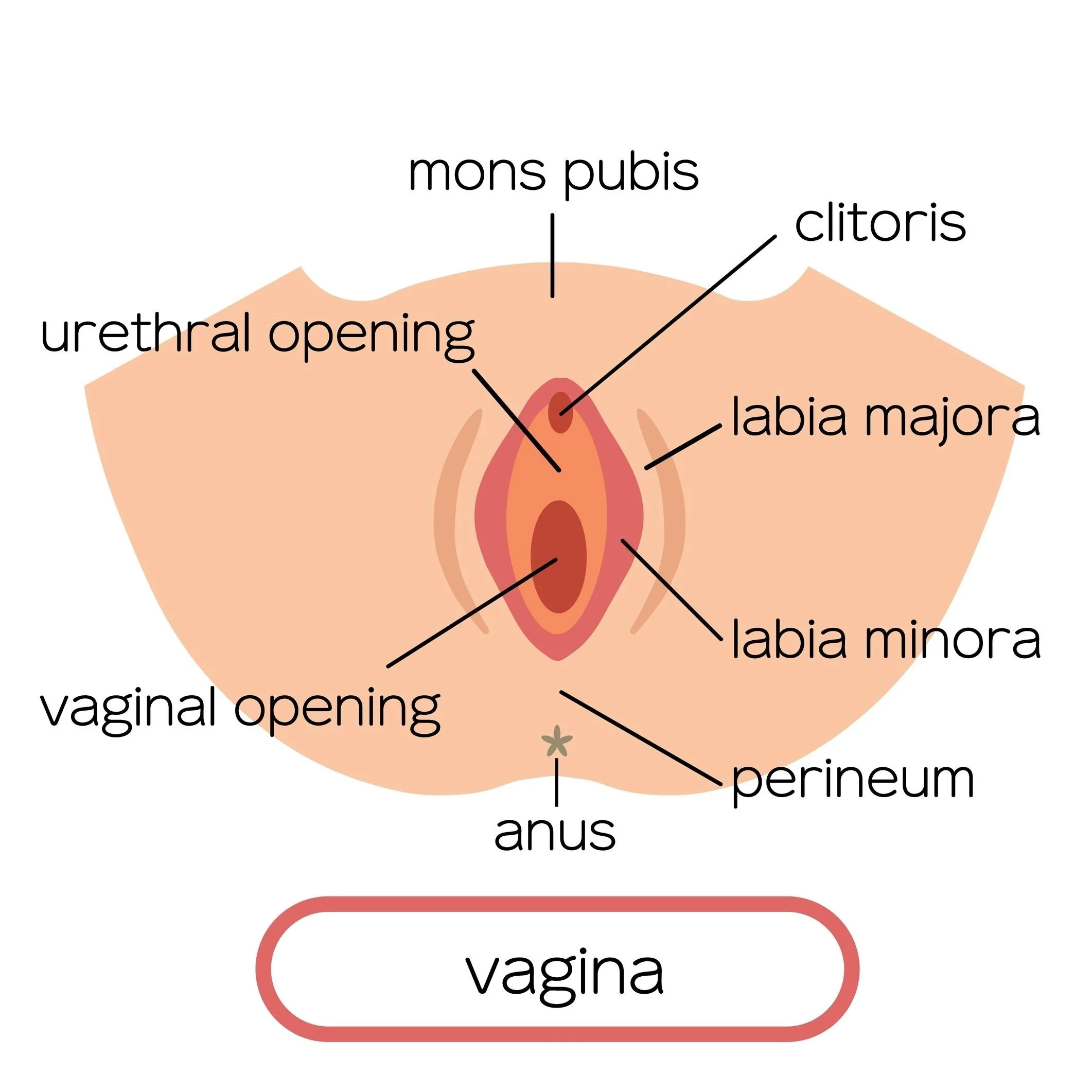 Cliteracy graphic