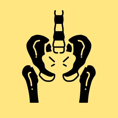 pelvis-pelvic-pain-SIJ-hip-FAI-labral-tear-groin-Bethany-Hansen-pelvic-floor-physical-therapist-PT.jpg