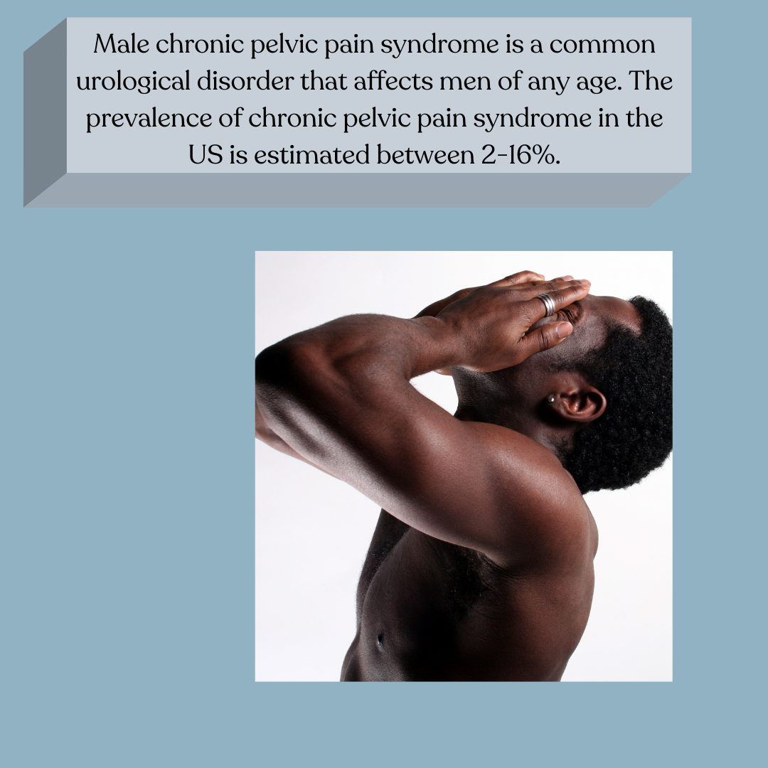 male pelvic pain chronic pelvic pain pelvic health PT