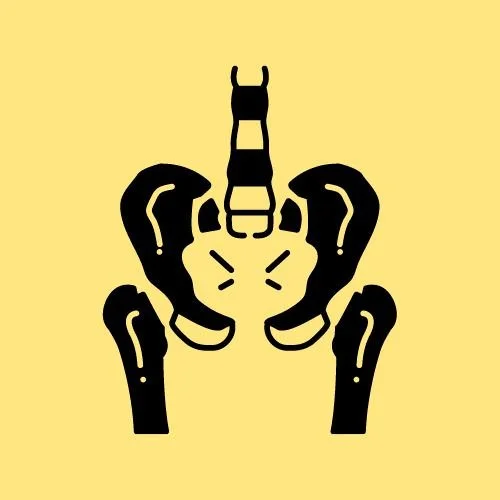 Spine, SIJ, and pubic symphysis pain — pelvic floor PT in Edina, MN