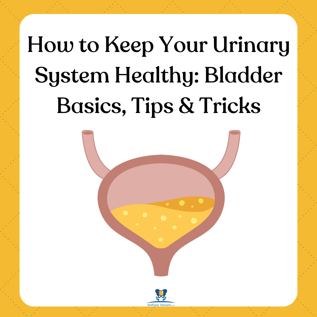 How to Keep Your Urinary System Healthy: Bladder Basics, Tips & Tricks