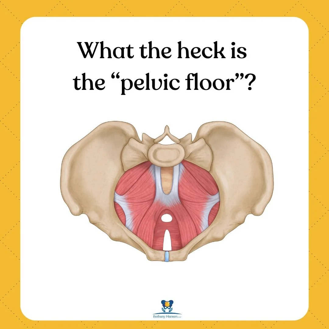 What the heck is the “pelvic floor”?