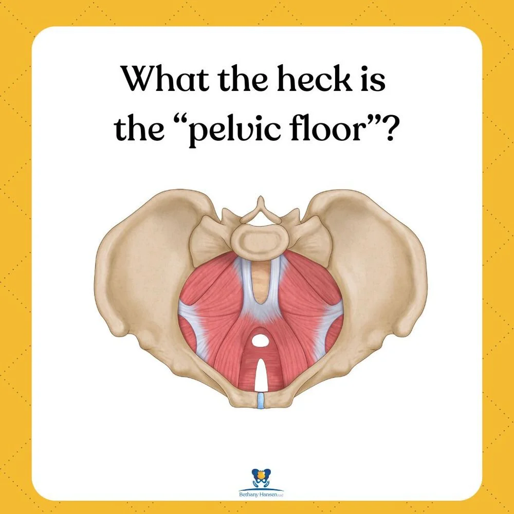 wht the heck is the pelvic floor Bethany Hansen edina minnesota