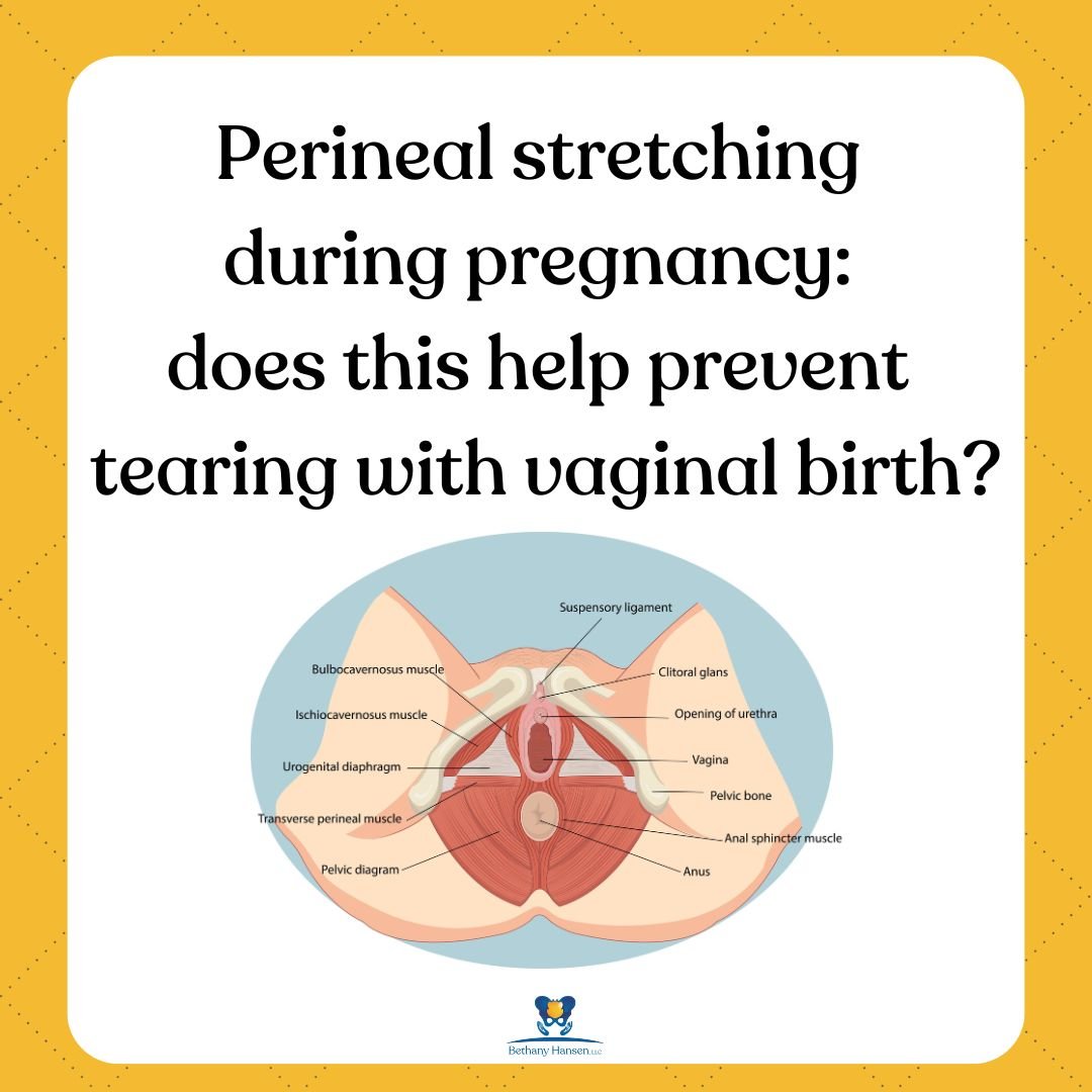 Perineal stretching during pregnancy