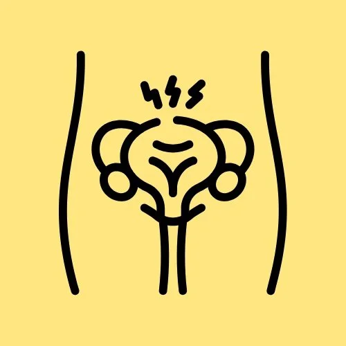 prolapse cystocele pelvic floor physical therapy Bethany Hansen edina minnesota